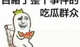 朝阳吃瓜群众一枚
